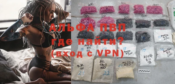спиды Горно-Алтайск