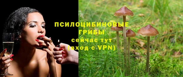 амф Фурманов